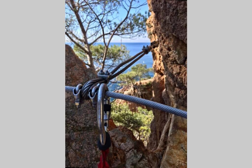 Nuevo Apartamento Moderno Elisa - A 80 Metros De La Playa Para 5 Personas Sant Feliu de Guixols Bagian luar foto