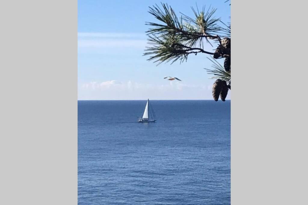Nuevo Apartamento Moderno Elisa - A 80 Metros De La Playa Para 5 Personas Sant Feliu de Guixols Bagian luar foto